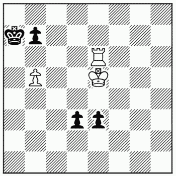 Chess problem 787