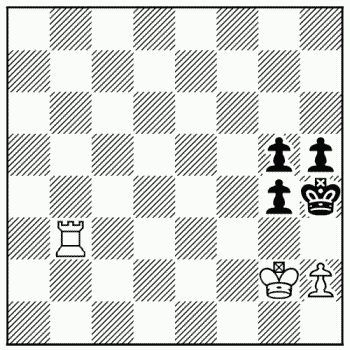 Chess problem 864