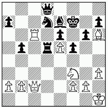 Chess problem 876