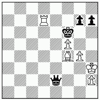 Chess problem 991