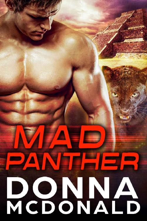 Cover of Mad Panther