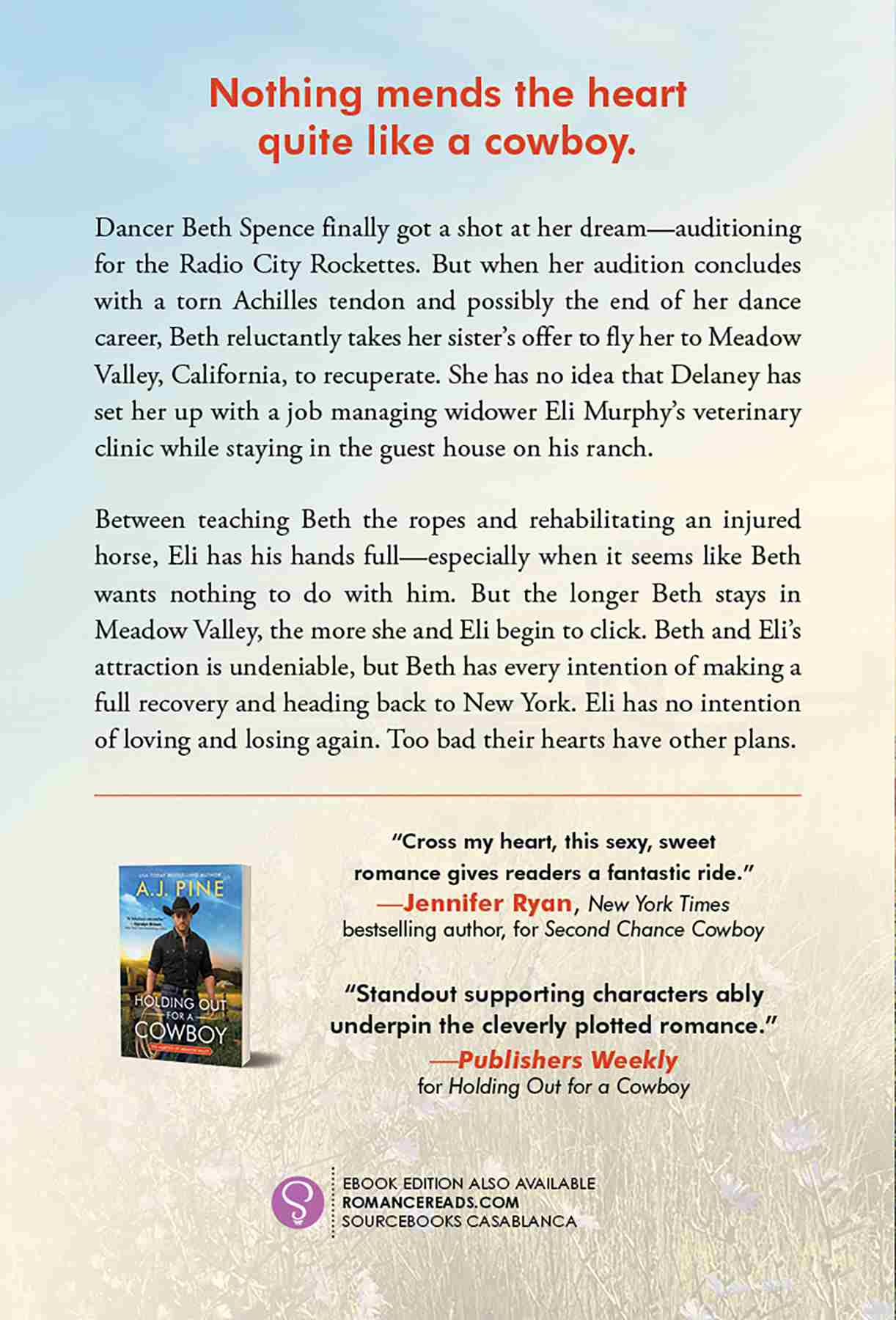 Back cover includes a summary of the story beginning with, “Nothing mends the heart quite like a cowboy.” At the bottom of the page is an image of a previous book by the same author, and two blurbs of praise.