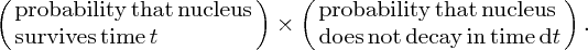 numbered Display Equation