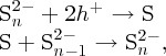 numbered Display Equation