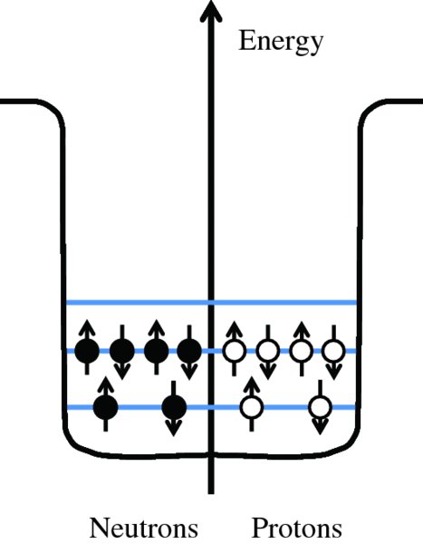 Diagram shows potential well having neutrons in black circles and protons in white circles, which is divided by energy upward arrow to represent first few energy levels.