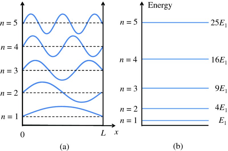 Graph shows a: wave functions like n equals 1 to 5, for particle confined in infinite potential well, where waves intensify towards n equals 5 and b: corresponding, quantized energies.