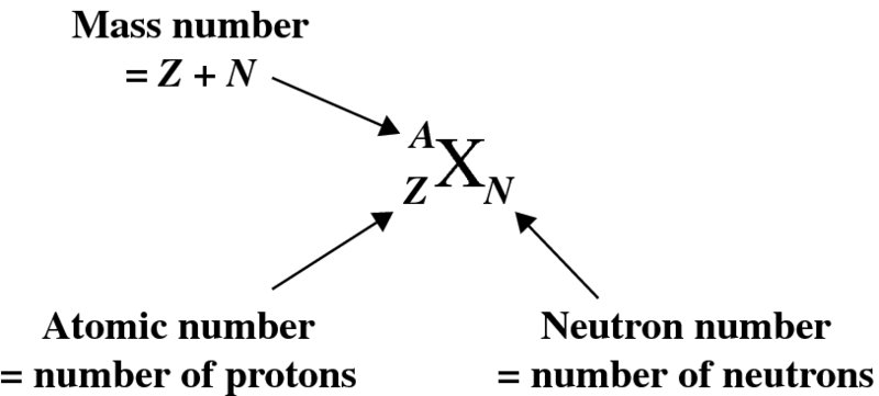 Diagram shows mass number equals Z + N, atomic number equals number of protons, and neutron number equals number of neurons and all are directed toward X having A, Z, and N.