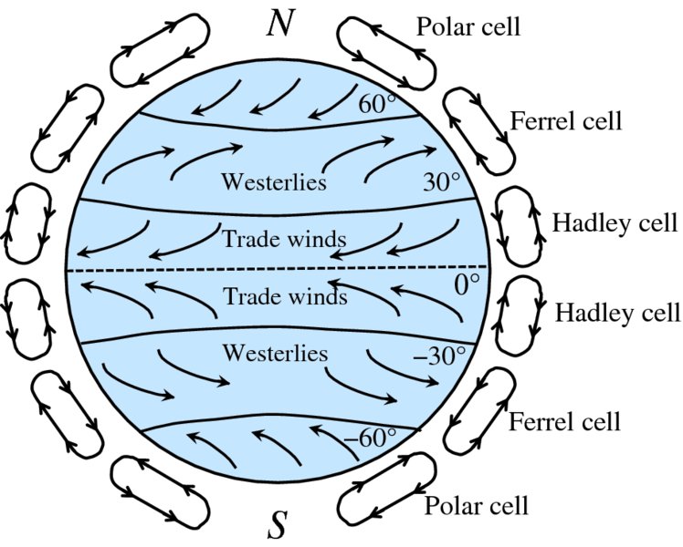 Diagram shows Earth having polar, ferrel, and Hadley cells from north and reverse order in south with winds like westerlies and trade winds moving in different directions.