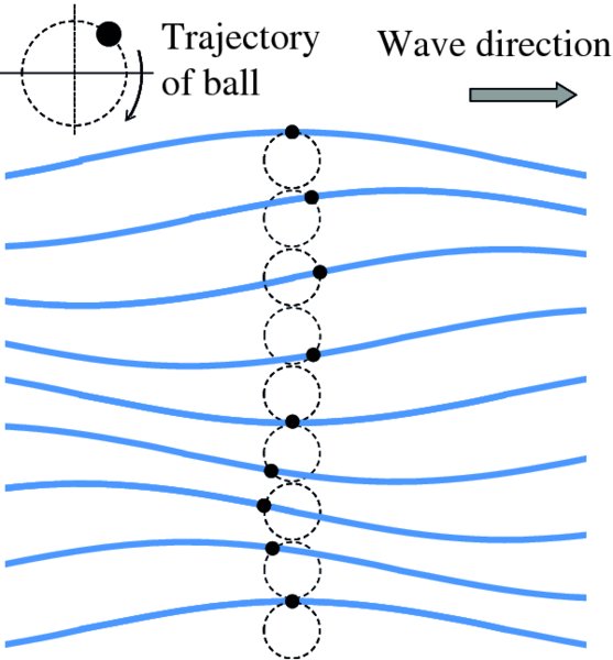 Diagram shows waves with arrow pointing right as wave direction and trajectory of ball, with its direction moving downward in clockwise path to make complete rotation on waves.