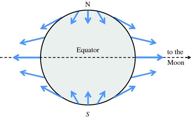 Diagram shows Earth divided by Equator as north and south which has arrows indicated in blue representing direction and relative strength of tidal force at different places on Earth.