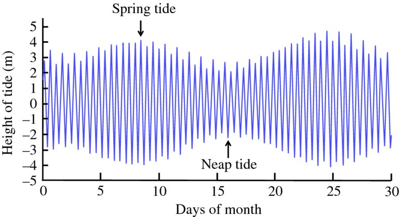 Graph shows tide plotting on height of tide (m) versus days of month, where plots of spring tide are between 5 and 10 days of month and neap tide with lower plot is near to 15 day of month.