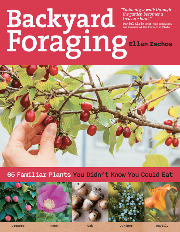 622009-foraging-cover.png