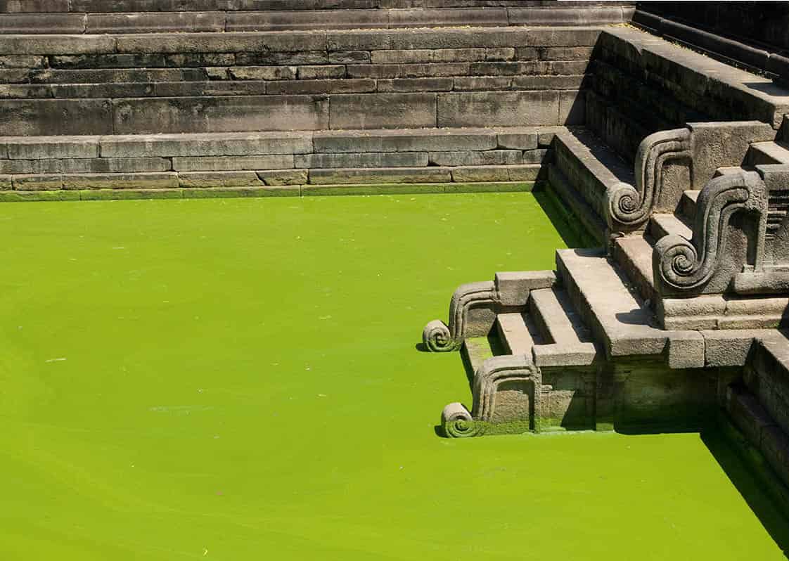 Anuradhapura-5386_SriLanka_EC.jpg