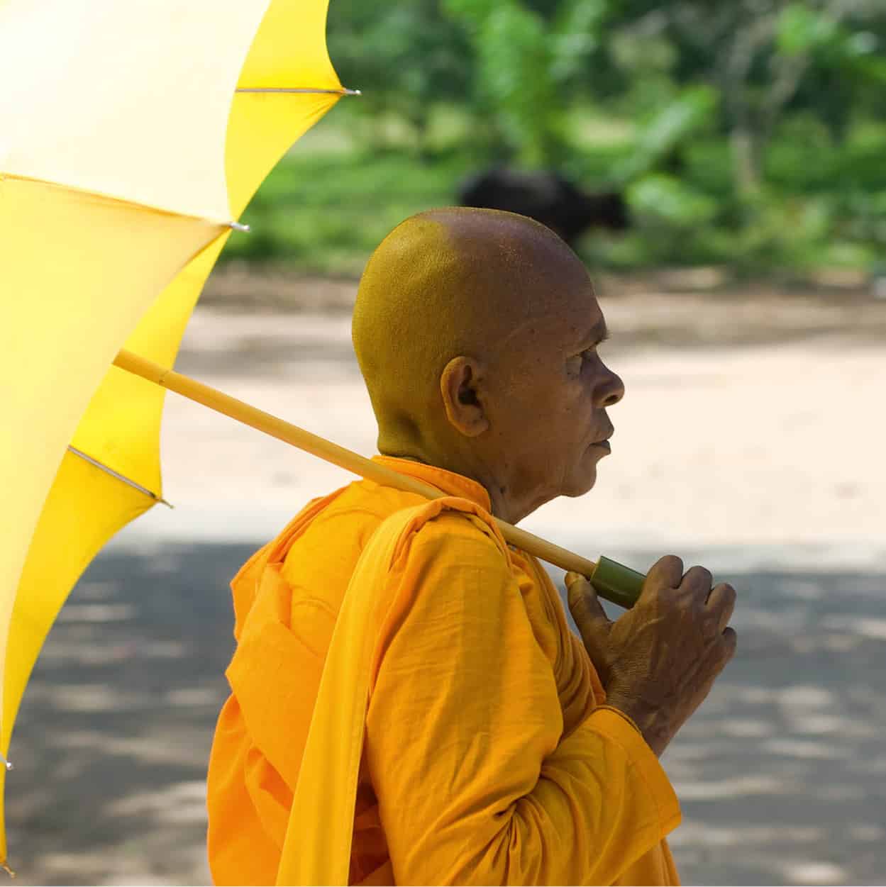 Anuradhapura-5441_SriLanka_EC.jpg