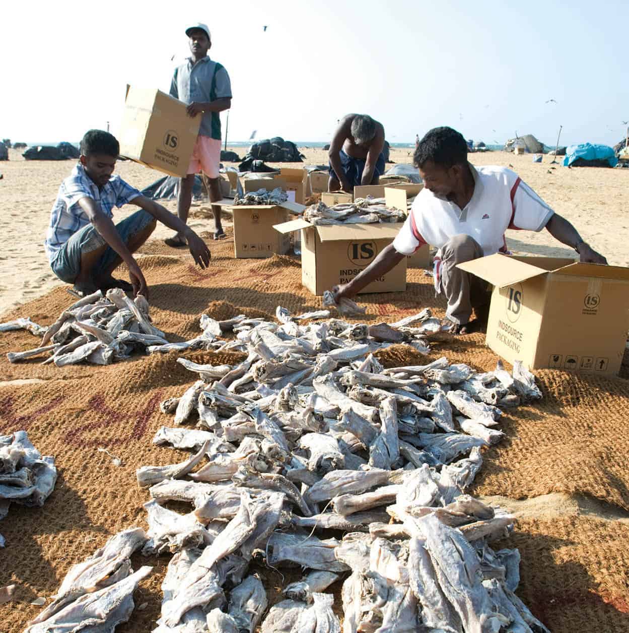 Negombo-4358_SriLanka_EC.jpg