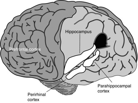 Figure 6.1