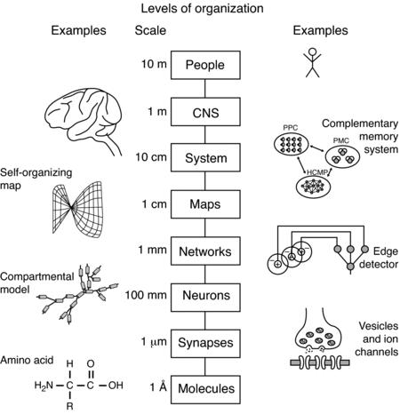 Figure 12.2