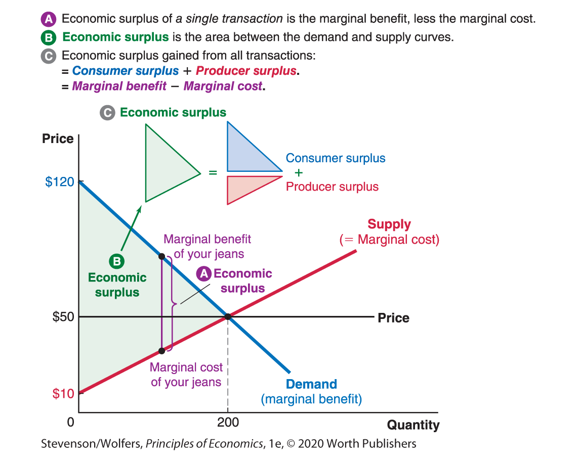 A line graph explains economic surplus. 