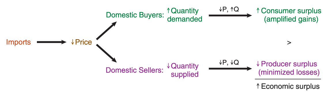 A flow diagram explains the consequences of exports.