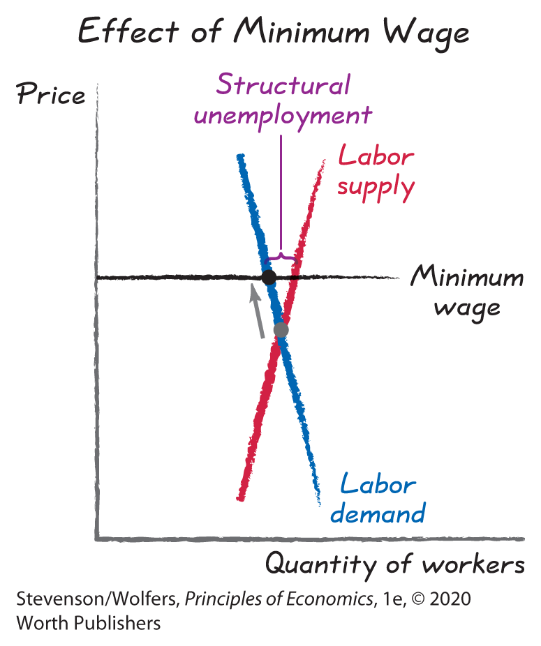 A graph shows the effect of minimum wage.