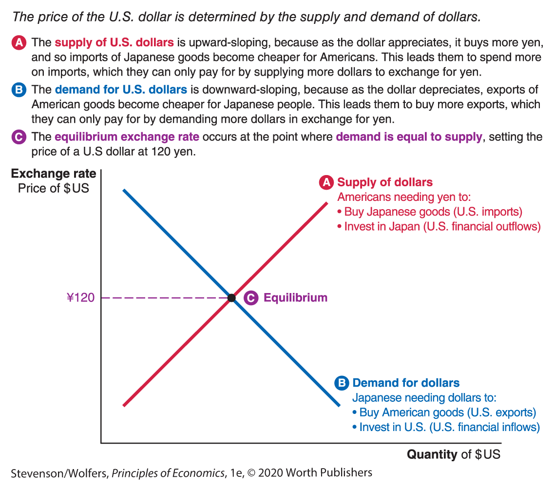 A graph determines the exchange rate of U S dollars with the help of supply and demand curves.