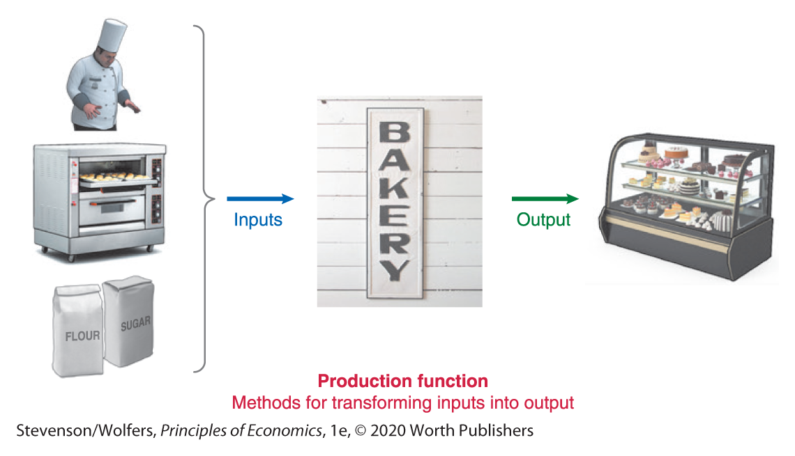 A flow diagram illustrates Production function.