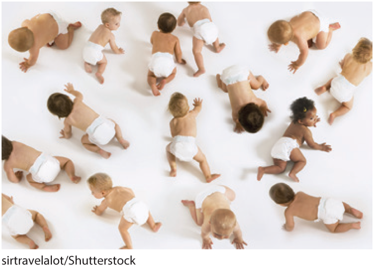 A photo shows babies crawling on the ground.