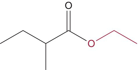 Structural formula of ethyl 2‐methylbutanoate.