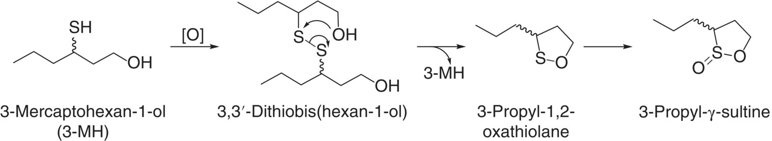 Schematic flow from 3-mercaptohexan-1-ol (3-MH) to 3,3 -dithiobis(hexan-1-ol) to 3-propyl-1,2-oxathiolane to 3-propyl- -sultine.