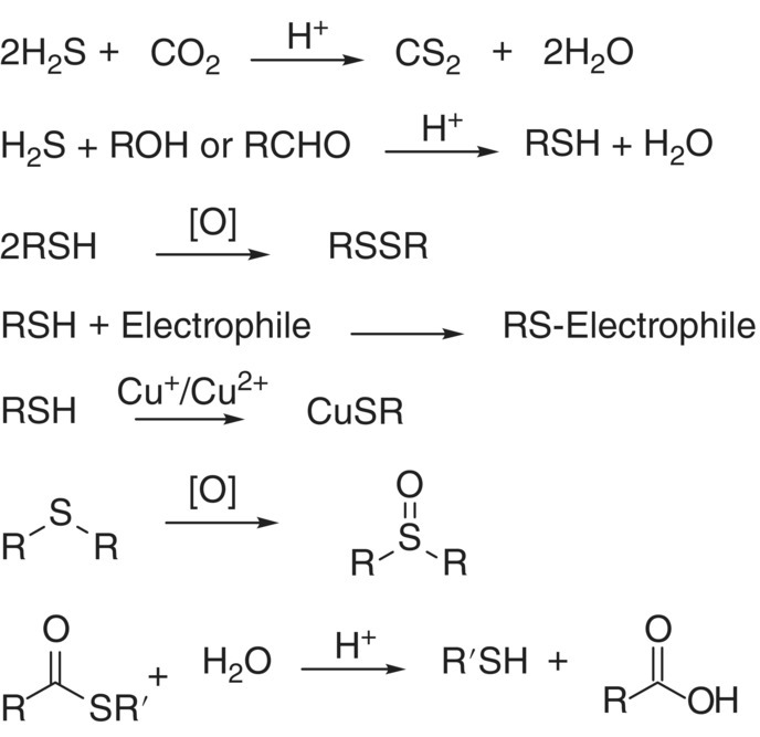 Schematic flow of a sample reaction involving alkyl sulfide.