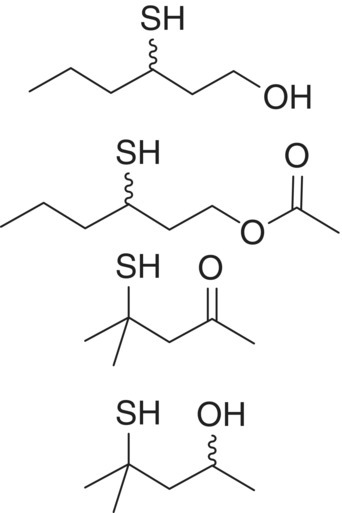 Structural formula of 3-(methylsulfanyl)propan-1-ol (methionol).