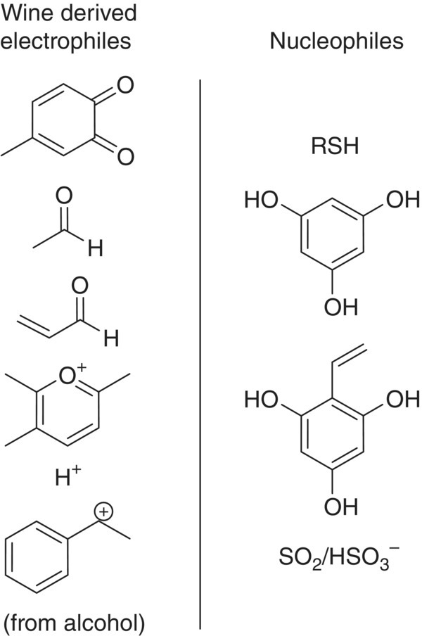 Two columns of structural formulas for common electrophiles (left column) and nucleophiles (right column) in wine separated by a vertical line in the middle.