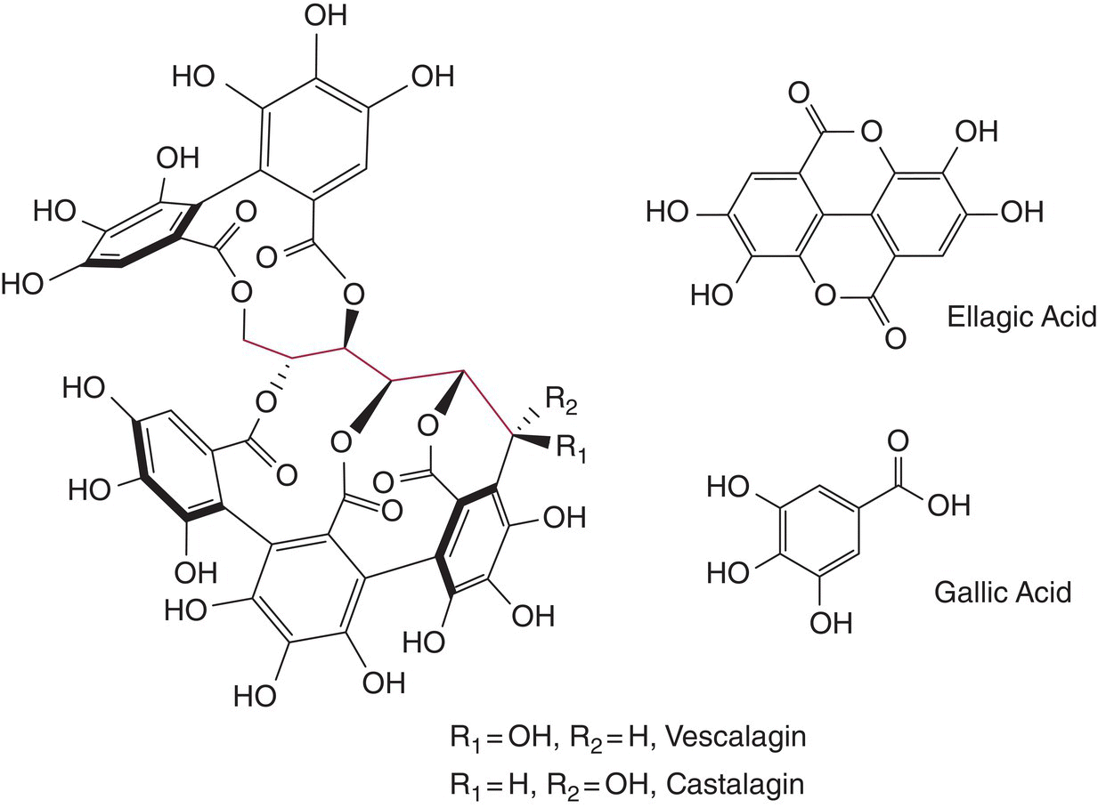 Structural formulas of vescalagin and castalagin, ellagic acid, and gallic acid.