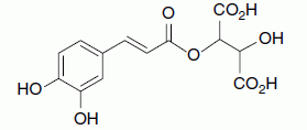 Structural formula of caftaric acid in its tartrate ester form.