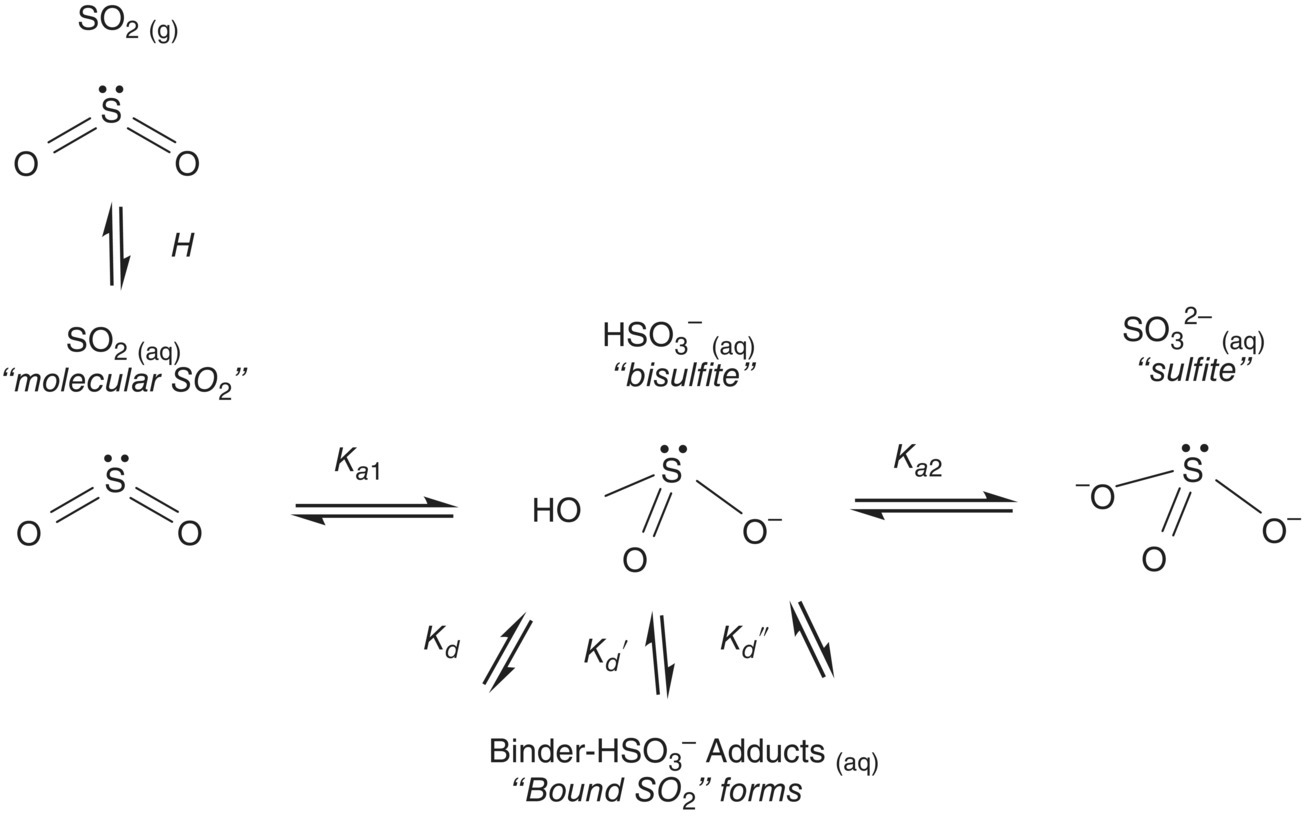 Schematic flow illustrating equilibria of sulfur dioxide species—bisulfite and sulfite.