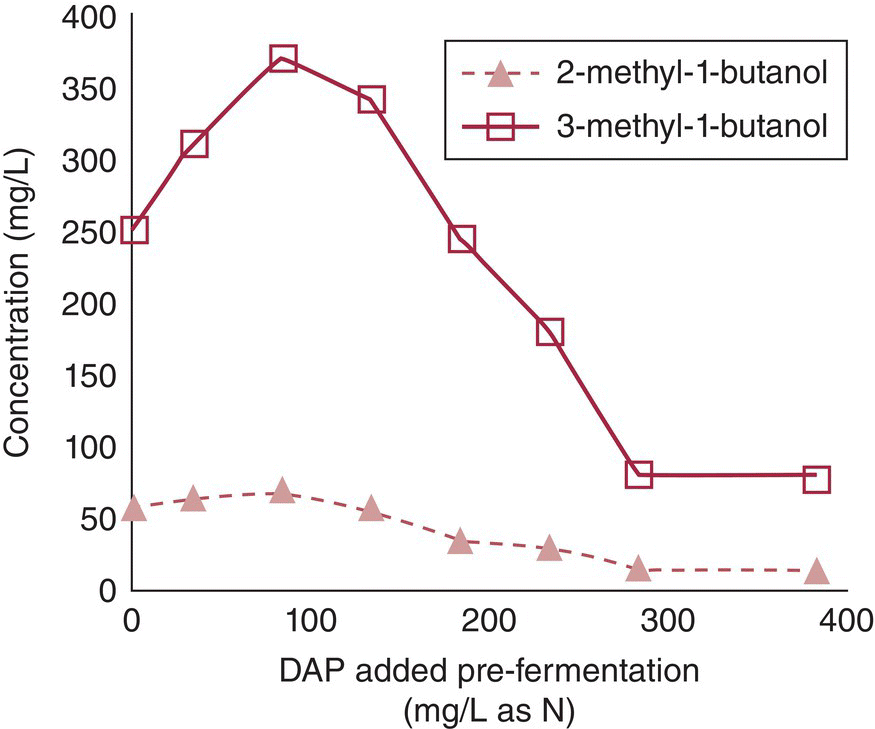 Graph of concentration over DAP added pre-fermentation for effects of increasing YAN on higher alcohol formation. It features plots for 2-methyl-1-butanol and 3-methyl-1-butanol.