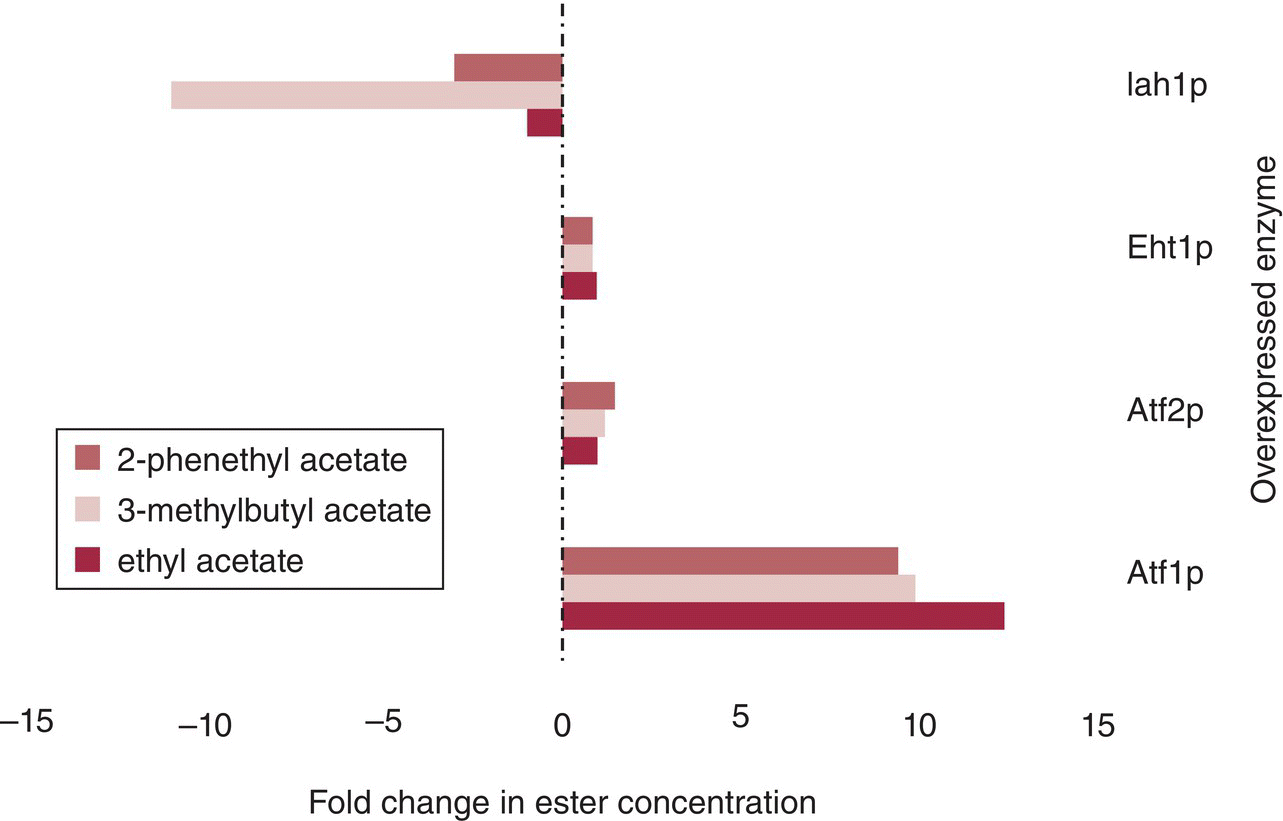 Horizontally oriented average bar graph displaying the effects of overexpression of genes involved in ester metabolism. The largest increases are with Atf1p. Iah1p results in a decrease.