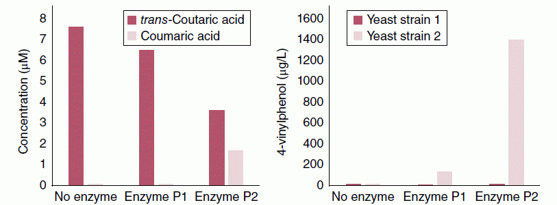 Left: Bar graph of  CE side activity in two commercial pectinase enzymes, P1 and P2. Right: Bar graph of 4‐Vinylphenol (4?VP) concentration in wines following fermentation of control and enzyme‐treated juices.