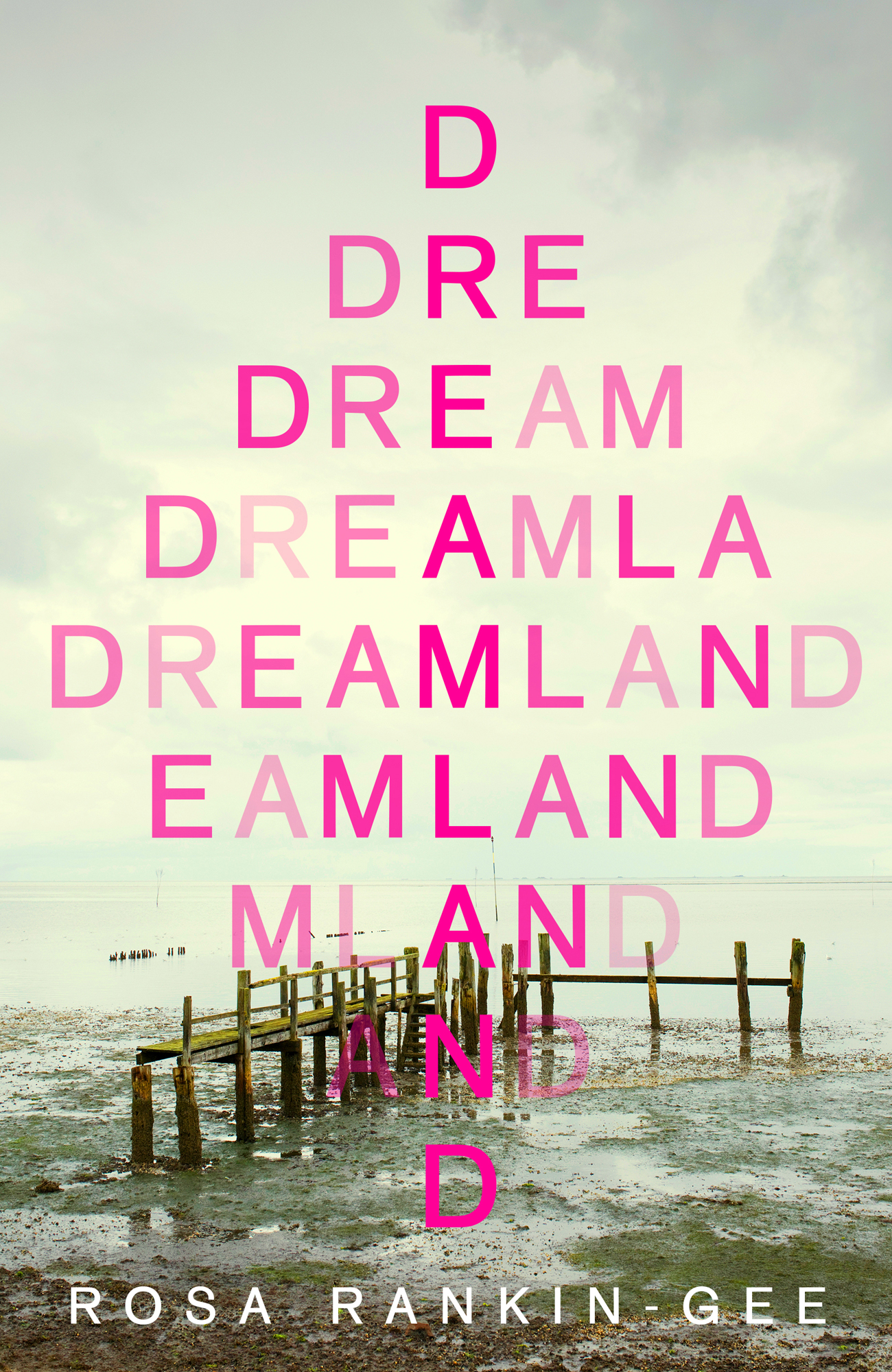 Cover: Dreamland, by Rosa Rankin-Gee