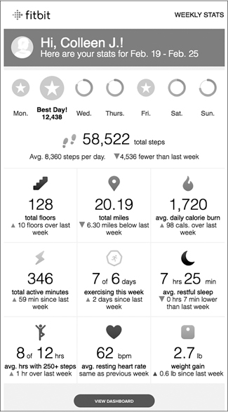 A screenshot shows the layout of a FitBit.