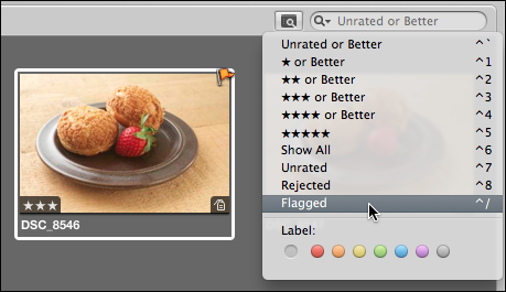 <strong>Figure 16:</strong> Displaying only flagged photos in Aperture.