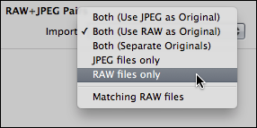 <em><strong>Figure 11:</strong> Aperture can handle Raw+JPEG files smartly.</em>