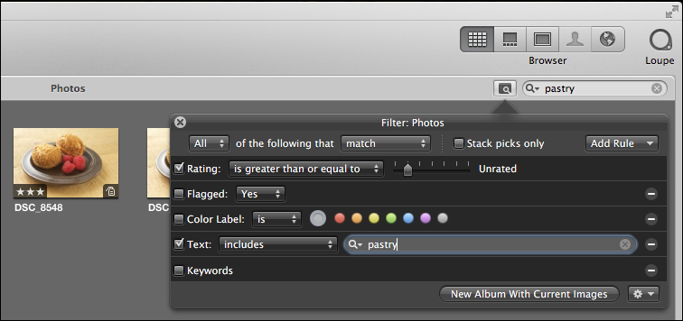 <strong>Figure 39:</strong> Aperture’s Filter popover can feel like overkill when you just want to search for a term.