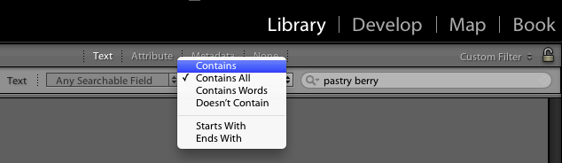 <strong>Figure 40:</strong> Choose how Lightroom handles search terms.