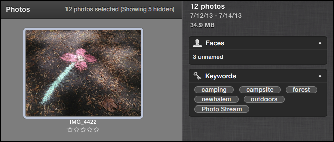 <strong>Figure 24:</strong> Adding keywords in iPhoto.