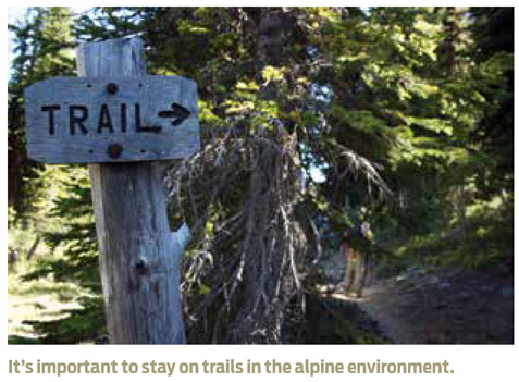 It’s important to stay on trails in the alpine environment.