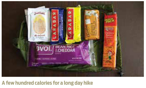 A few hundred calories for a long day hike