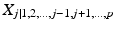 
$$X_{j\mid 1,2,\ldots,j-1,j+1,\ldots,p}$$
