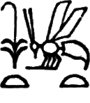 glyph