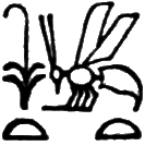 glyph